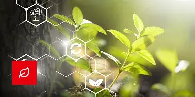 Soluções Sustentáveis na Cadeia Mineral